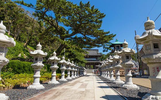 誕生寺